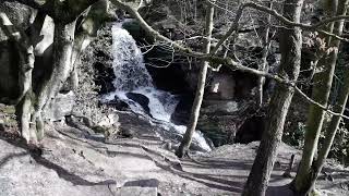 Bentley brook and its waterfalls