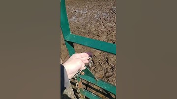 Excellent Barn Basics 3- Gate Chains