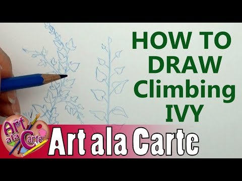 How to draw Climbing IVY