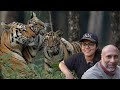 The tiger sighting i had always dreamt of  sony alpha1 4k  pench tiger reserve atr daily vlog 46