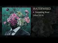 Waterweed - Dreaming Dead (ft. Dan Smith - Darko)