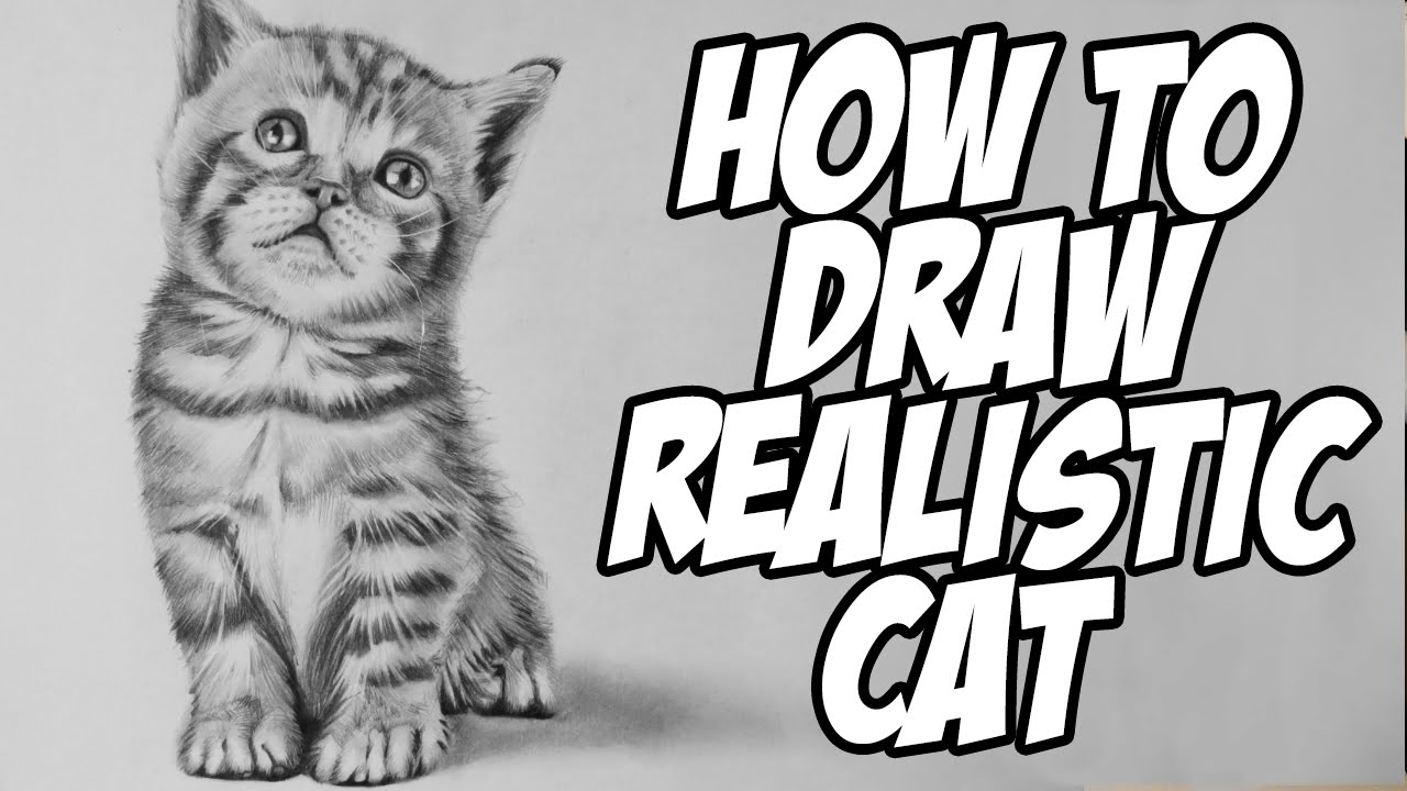 How to Draw a Realistic Baby Kitten - Drawing Animal Hair - YouTube