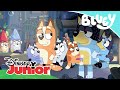 Bluey: Unas vacaciones diferentes | Disney Junior Oficial