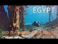 Exploring the House Reef at Utopia Beach Club #1 &ndash; Red Sea Diving