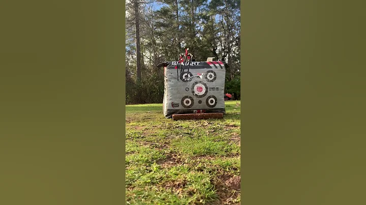 Day 5 Can I Land a Robin Hood? 20 Arrows from 20 Yards! 🎯 #archery  #hunting #challenge #outdoors