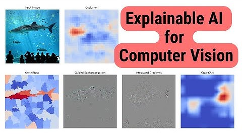 Taxonomy of Explainable AI Methods in Computer Vision | Free XAI Course