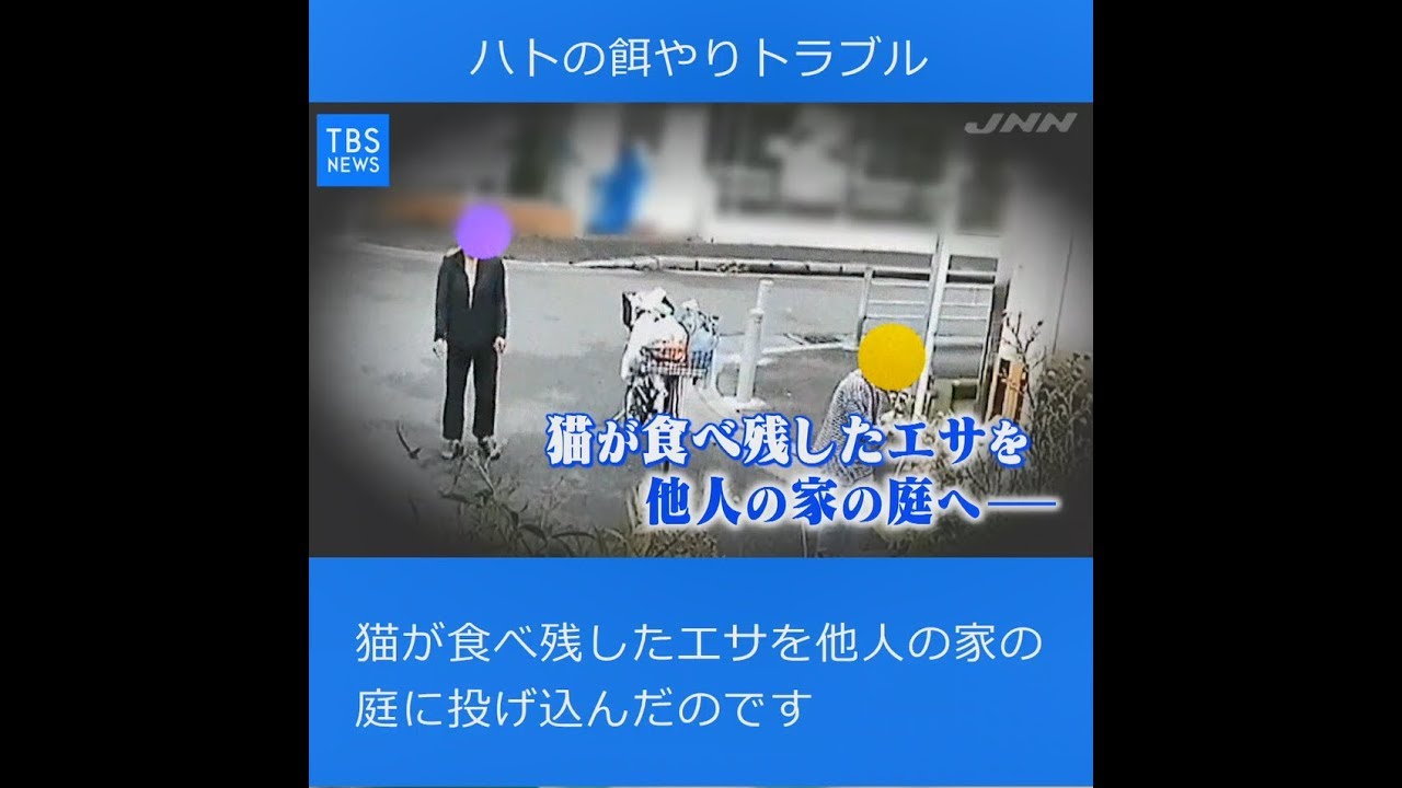 ハトの餌やりトラブル【Nスタ545】