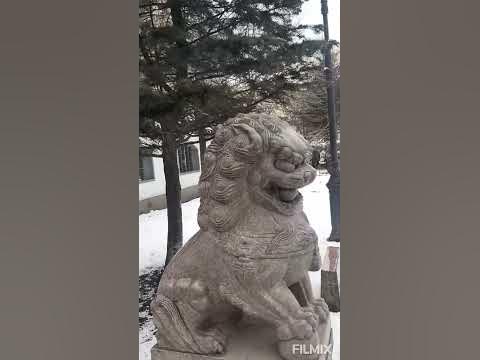 Китайский дворик #санктпетербург #путешествия #россия #туризм #отдых # ...