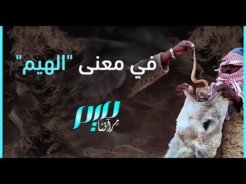 في معنى الهيم