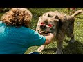 ملخص فيلم ماين كرافت الواقعي ملخص فيلم 