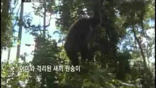 [EBS 지식프라임] 아이의 뇌를 만들어 주는 엄마 screenshot 2