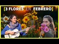 3 FLORES 🌻 con WINI Walbaum [mes de FEBRERO]