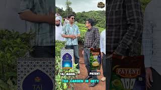 Ooty Chai Special || Ooty chai ☕️ VS Patent Chai || Chai lover || Shahiq Syyed Sambhal se Ooty tour