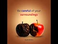 be careful of your surroundings #carefull #motivation #dépendanceaffective #reels #successmotivation
