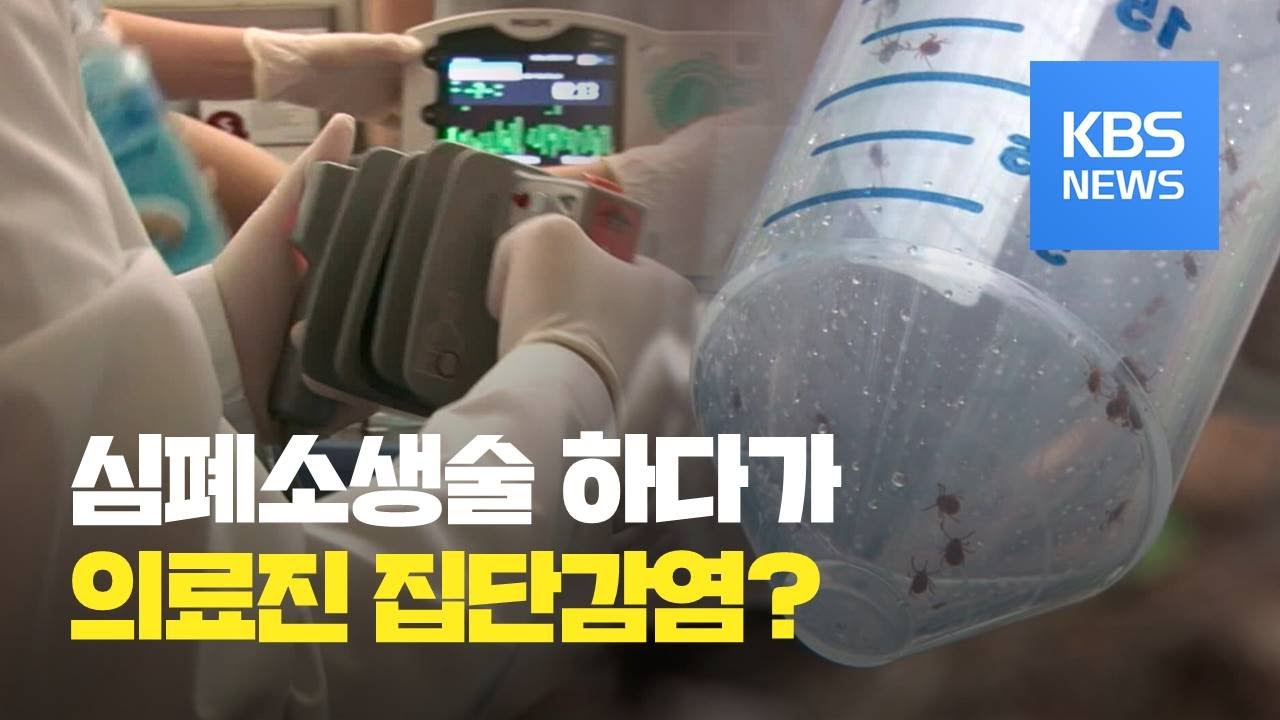 “심폐소생술하다가”…경북대병원 의료진 SFTS 집단 확진 / KBS뉴스(News)