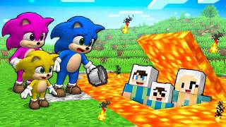 ENES AİLESİ BEBEK SONİC AİLESİNİ TROLLEMEK İÇİN LAVIN ALTINA GİZLİ EV YAPTI 😱 Minecraft