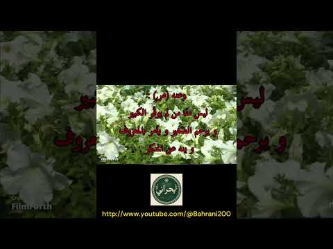 نصرة الاخ لاخيه ظالما او مظلوما 105 الر س ول الأ ع ظ م ص