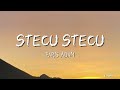 Stecu Stecu - Faris Adam (Lirik)