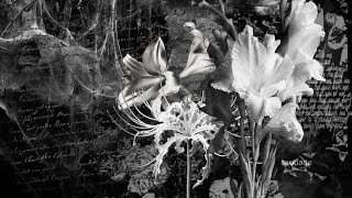 Audios because I like angst