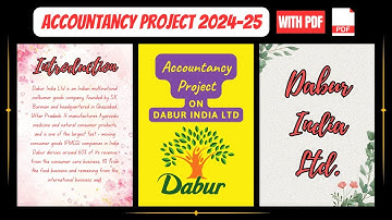 Accountancy Project on Ratio Comparative & Common Size Statement Dabur Ltd 2024-25 || class 12 PDF