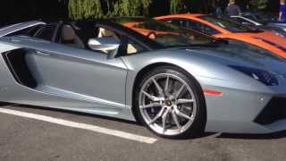 Lamborghini Aventador Roadster in Vancouver!