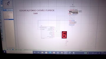 Actividad 6: Nombre con display controlado por dip switch