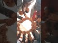 Activity 🎉👏 #trending #viral #shorts  #shortvideos #funnyshorts #school #activity #education #fypシ