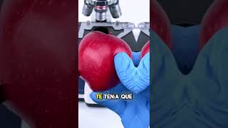 La Verdad Aterradora Dentro De Una Manzana 😱🍎