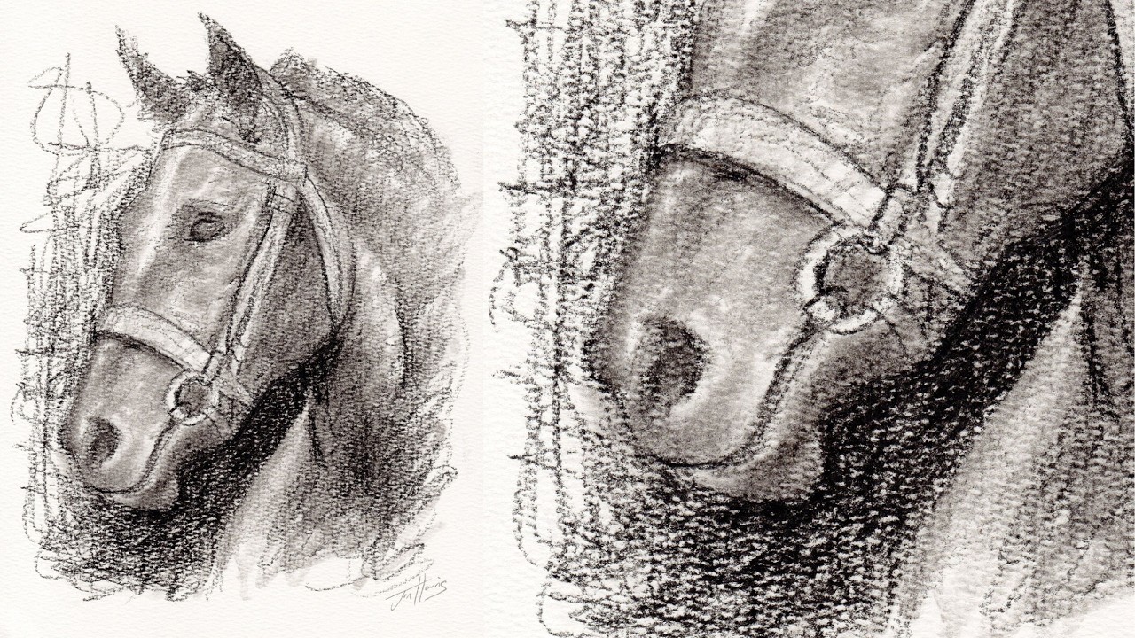Drawing Sketch of a Horse with a Charcoal Pencil