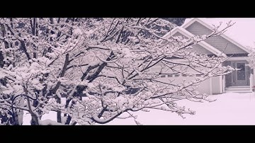 GH6 120 fps + GH5 60 fps snowfall