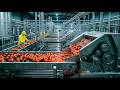 Inside the Tomato Ketchup Factory – Full Process How Ketchup Are Made
