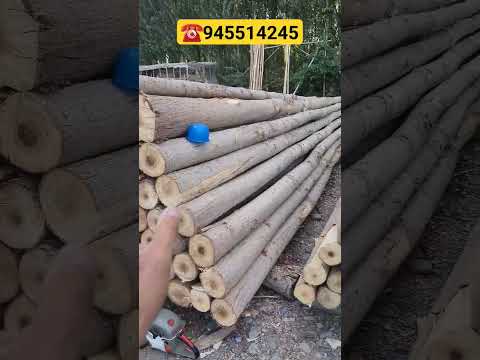 Optim Terak bozorda