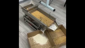 Linear Model Vibrating Sorting Sieve Machine Grain Sifter Screen Grain Linear Vibrating Equipment