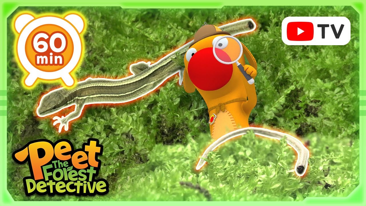 The Magical Honey Adventure 🍯✨  | Animal Stories For Kids | Peet The Forest Detective