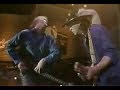 Stevie Ray Vaughan & Jeff Healey - 'Look At Little Sister'