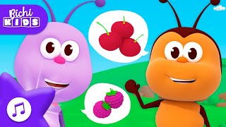 🐝 Hora Zapacita 🐞 Regatul Copiilor