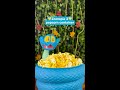 #Zootopia2 Popcorn Container Slithering In Hot!
