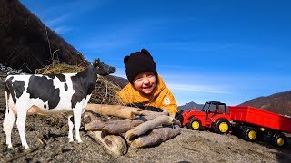 Играем в Большой Песочнице Трактором, Кормим Корову. Челлендж настоящее против...