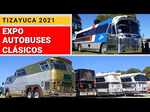 Expo de AUTOBUSES