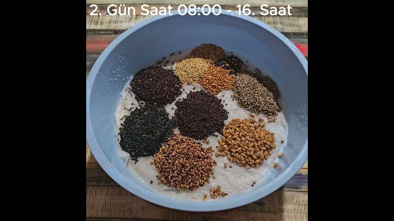 Эксперимент по прорастанию семян