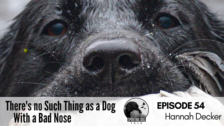 Podcast Short Episode 54: Hannah Decker- There's n...