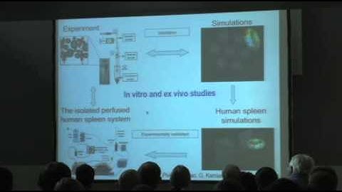 Annual Distinguished Lecturer - Subra Suresh, Sc.D - Director NSF