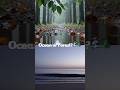 Ocean or Forest? 🌊🌲 Relaxing Nature Sounds for Sleep & Calm #shorts