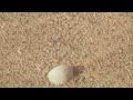 むたゆうじ/涙がしょっぱいのは
