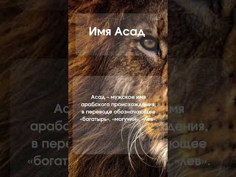 Значение имени Асад #значениеимени #мусульманскиеимена #мужскиеимена