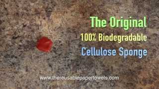 The Original 100% Biodegradable Cellulose Sponge