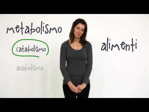 Video: Differenza Tra Metabolismo E Catabolismo