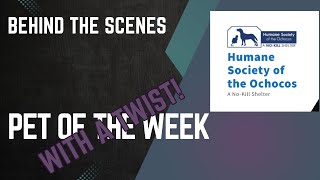 Behind the scenes at the Humane Society of the Ochocos!