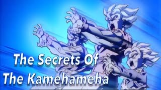 The Secrets Of The Kamehameha : The Birds And The Bees Of Dragonball Episode 8