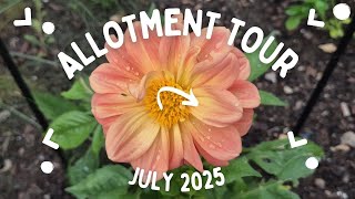 July Allotment Tour 2025 | Allotment gardening UK 2025